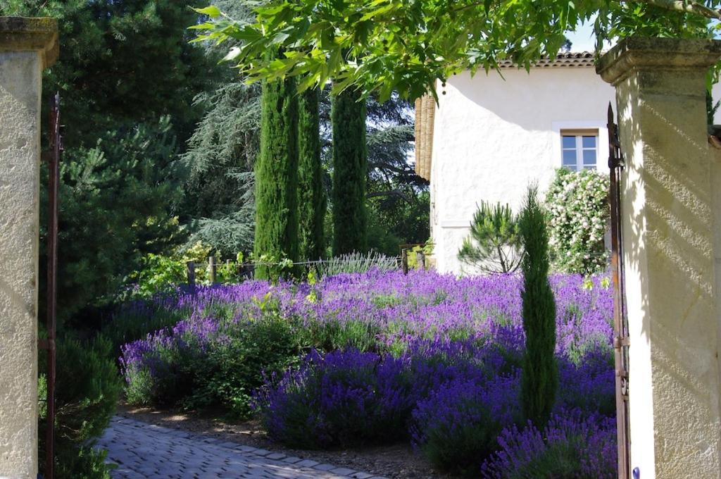 On Dirait Le Sud Apartment Andrezieux-Boutheon Exterior photo